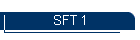 SFT 1